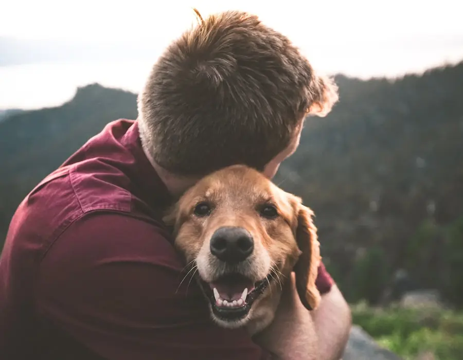 Clínica veterinaria real con equipo en trabajo