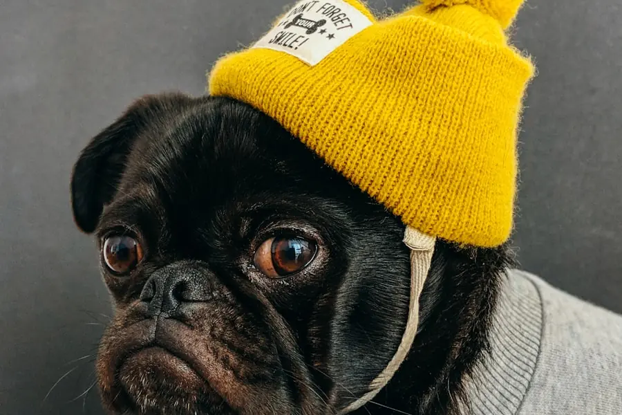 Vacunación en clínica veterinaria