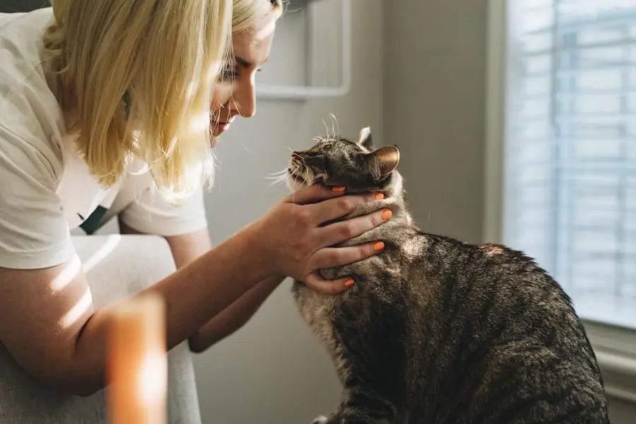 Atención veterinaria urgente en clínica